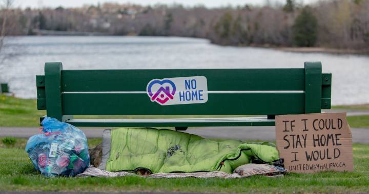 Nova Scotians - Halifax homelessness campaign turns Instagram’s ‘stay home’ sticker to ‘no home’ - globalnews.ca