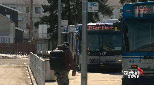 Free Edmonton Transit costing the city millions - globalnews.ca - city Edmonton