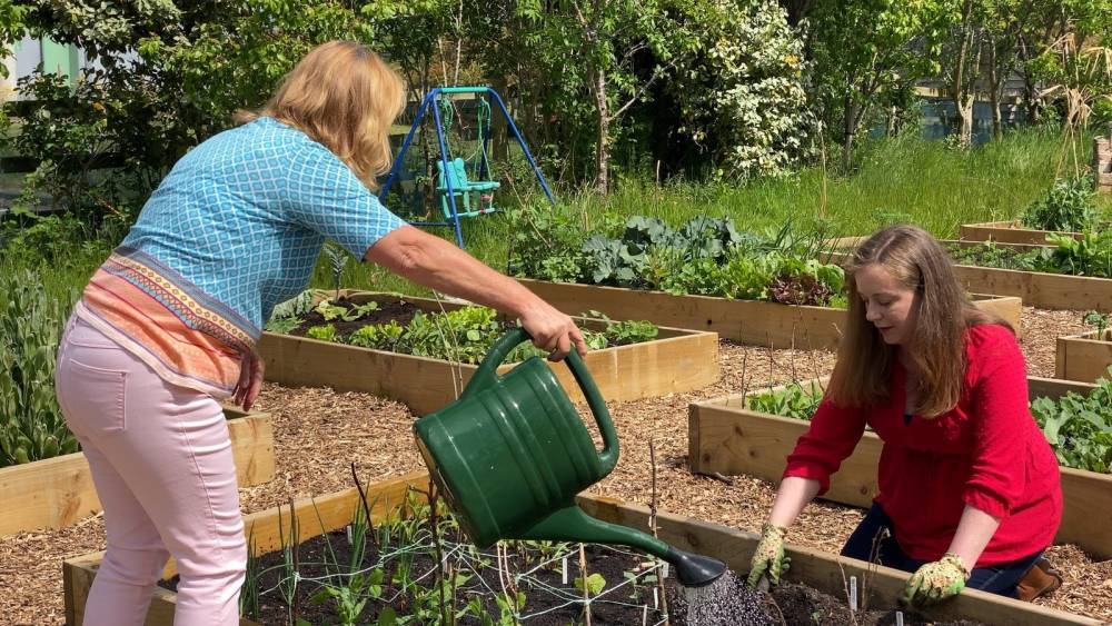 Gardening boom continues with GIY initiative - rte.ie - Ireland