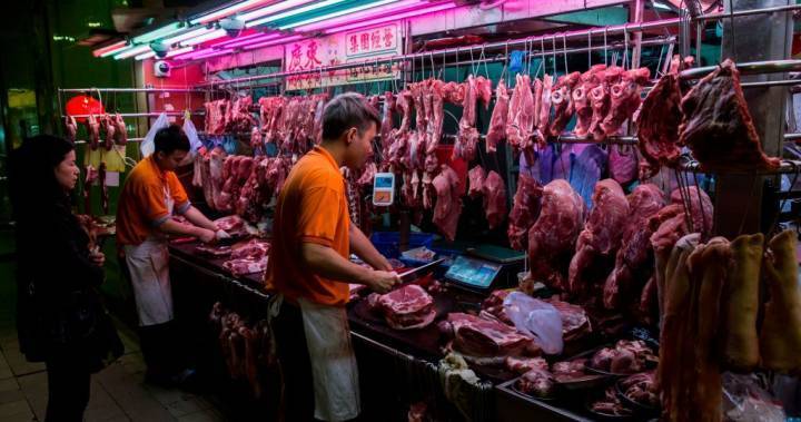 Wuhan bans eating wild animals in wake of coronavirus pandemic - globalnews.ca - China - province Hubei - city Wuhan, China - province Hunan