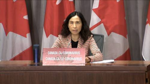 Theresa Tam - Coronavirus outbreak: Canada now at 80,555 confirmed cases of COVID-19, 6,062 total deaths - globalnews.ca - Canada