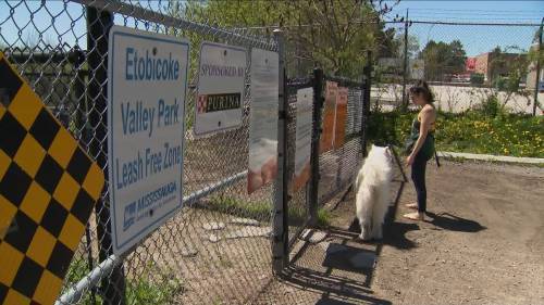 Catherine Macdonald - Coronavirus: Peel Region officials say it’s too early to reopen park amenities, fields some confusion tonight from residents of Peel wondering why Toronto has Re-opened parks but not Mississauga and Brampton. - globalnews.ca