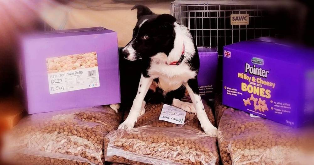 Dumfries and Galloway Canine Rescue Centre salute police for donation of dog food, biscuits and treats - dailyrecord.co.uk