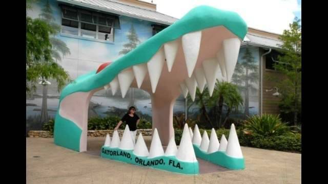 Jerry Deming - Gatorland announces reopening date alongside Universal, other attractions - clickorlando.com - county Orange - city Deming