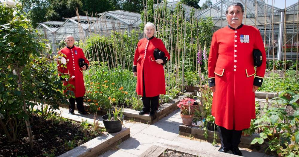 Chelsea Pensioners build own eden after flower show axed for first time since WW2 - mirror.co.uk