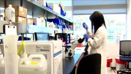 Nova Scotia - Alicia Draus - Nova Scotia modifies coronavirus testing criteria as province remains at 29 active cases - globalnews.ca