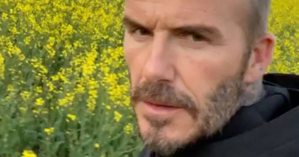 Man Utd legend David Beckham has new lockdown look at £6million Cotswolds home - dailystar.co.uk