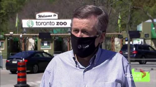 John Tory - Coronavirus outbreak: Toronto mayor says thousands are taking advantage of ActiveTO initiative - globalnews.ca