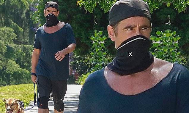 Griffith Park - Colin Farrell - Colin Farrell walks his dog as he reveals Penguin role won't be a main character in The Batman - dailymail.co.uk - county Park - city Dublin - Los Angeles, county Park