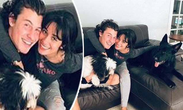 Camila Cabello - Shawn Mendes - Camila Cabello cuddles up in lockdown to beau Shawn Mendes and dogs Thunder and Leo - dailymail.co.uk - county Miami - county Love