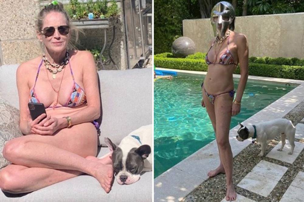 Sharon Stone, 62, stuns as she poses in a bikini by the pool - thesun.co.uk - county Stone - city Sharon, county Stone