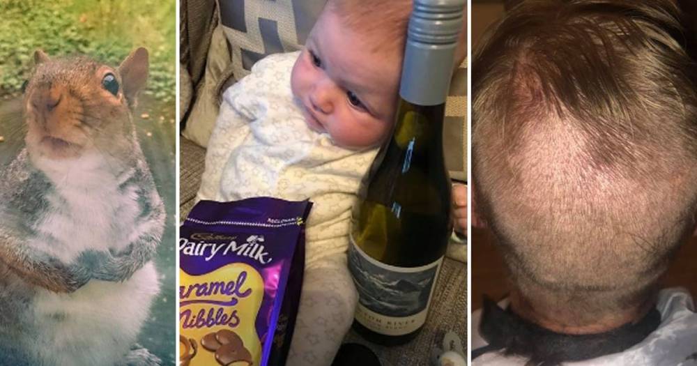 Squirrels, bad haircuts and lots of wine - your lockdown moments in pictures - manchestereveningnews.co.uk - city Manchester