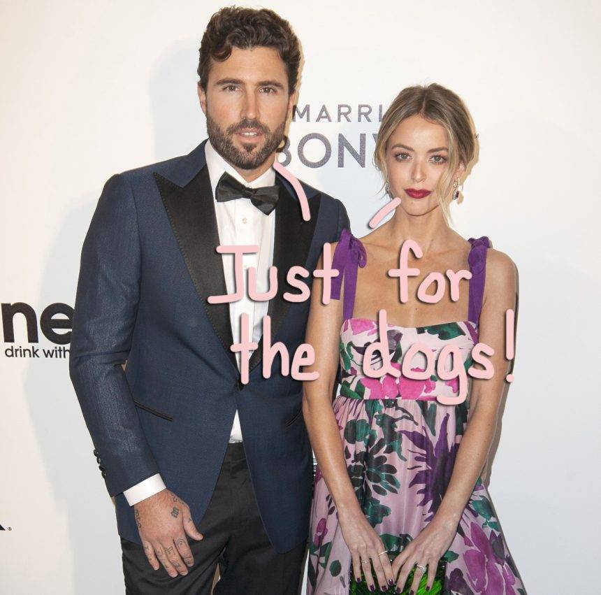Brody Jenner - Kaitlynn Carter - Brody Jenner & Kaitlynn Carter Aren’t Back Together — They’re Just Co-Parenting Dogs! - perezhilton.com