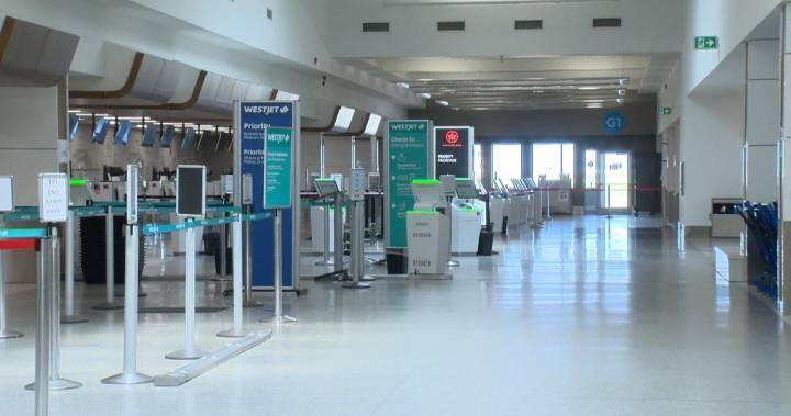 Saskatchewan - Business-related air travel drastically slowed due to COVID-19 pandemic in Saskatoon - globalnews.ca