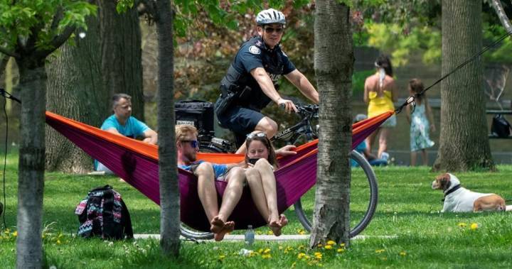Health Network - Alon Vaisman - Trinity Bellwoods - Overcrowded parks may cause coronavirus flare-ups but real risk lies indoors: experts - globalnews.ca - Canada - county Park