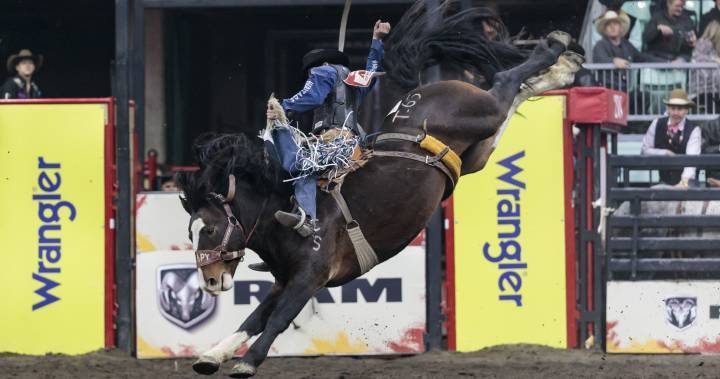 Entire rodeo season, including Canadian Finals Rodeo, in question due to COVID-19 - globalnews.ca - Canada - county Green