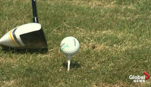 Alberta Golf hoping to attract more kids to ‘Youth on Course’ affordable golf program - globalnews.ca