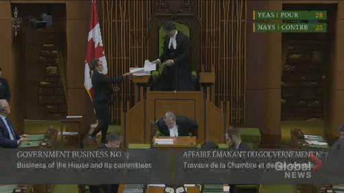 Liberals, NDP vote in favour to waive normal house proceedings amid pandemic - globalnews.ca