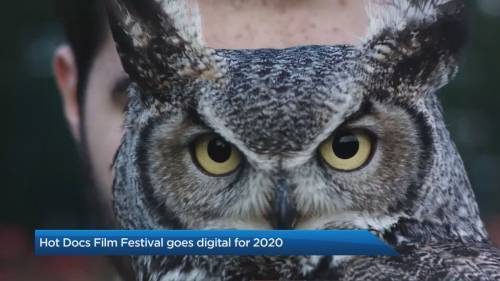 Hot Docs festival goes digital for 2020 - globalnews.ca