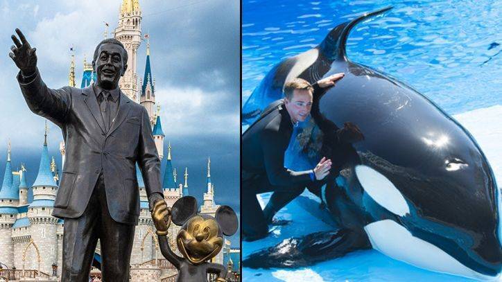 Jerry Deming - Disney World, SeaWorld Orlando reopening plans approved by Orange County Task Force - fox29.com - county Orange - city Deming