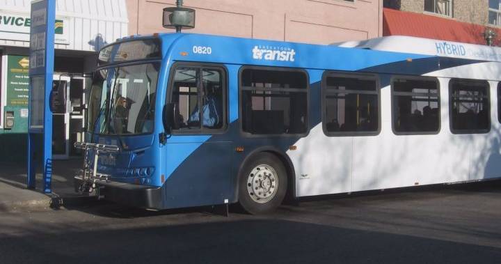 Coronavirus: Saskatoon bus fares to return in June, transit anticipates massive deficit - globalnews.ca