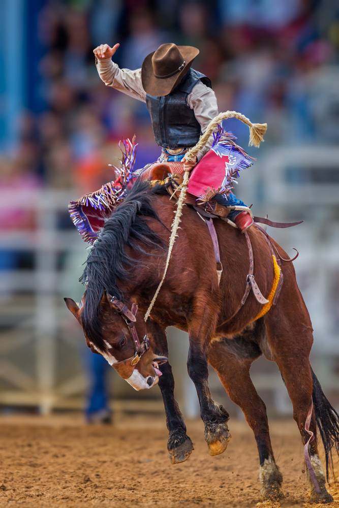 Mark Gordon - Governor Expresses Disappointment That Wyoming’s Largest Rodeos Are Cancelled - health.wyo.gov - county Day - state Wyoming - county Cheyenne - county Sheridan - county Frontier