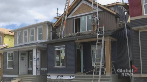 Alberta’s home building industry could see huge decline in activity this year - globalnews.ca - Canada