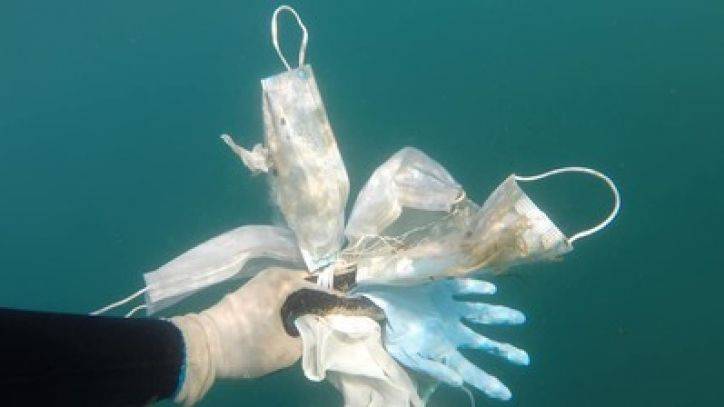 PPE pollution: Video shows divers removing masks and gloves from ocean - fox29.com