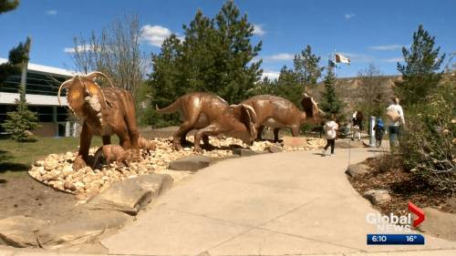 Gil Tucker - Town of Drumheller welcomes back tourists as Royal Tyrrell Museum reopens - globalnews.ca