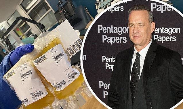 Tom Hanks - Rita Wilson - Forest Gump - Tom Hanks donates more plasma to medical research after recovering from COVID-19 - dailymail.co.uk