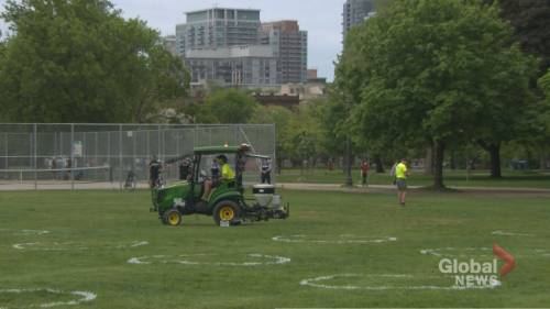 Trinity Bellwoods - Video of Toronto park staff painting physical distancing circles at Trinity Bellwoods - globalnews.ca
