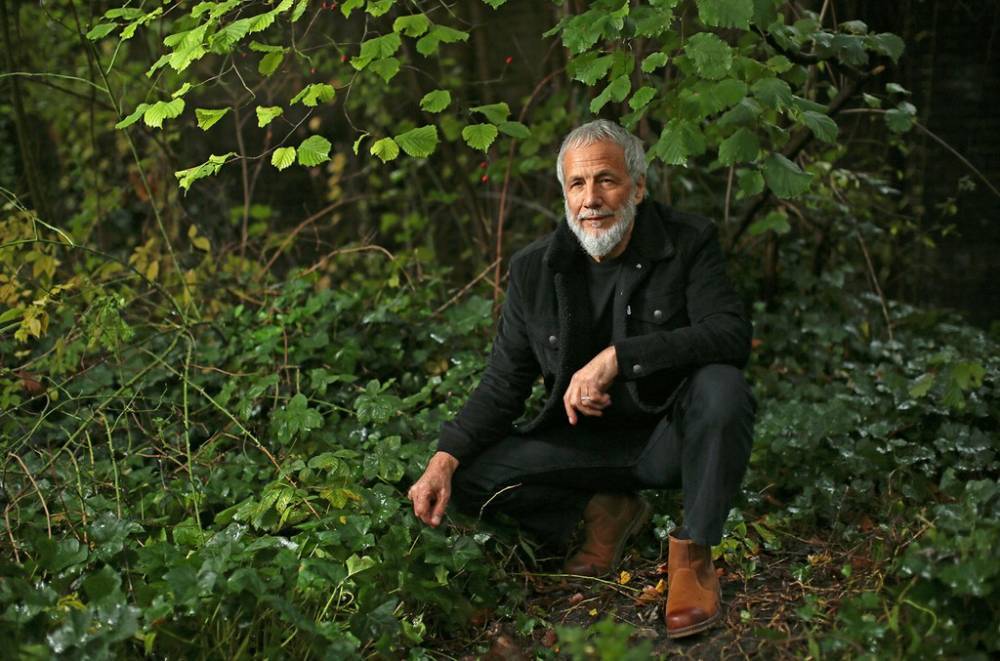 Yusuf/Cat Stevens On Reimagining His 1970 Classic, 'Tea For The Tillerman' 50 Years Later - billboard.com - Britain