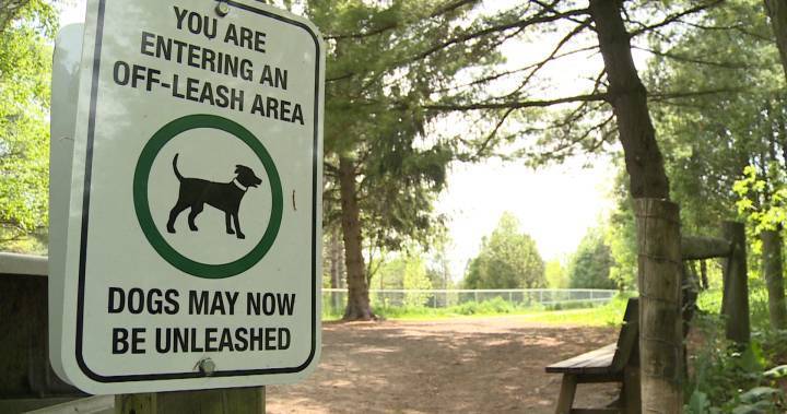 ‘It’s the right environment’: Durham vet expects more ticks as dog parks reopen - globalnews.ca - county Park