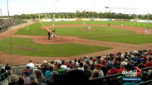 Okotoks Dawgs left disappointed after 2020 WCBL season cancelled - globalnews.ca