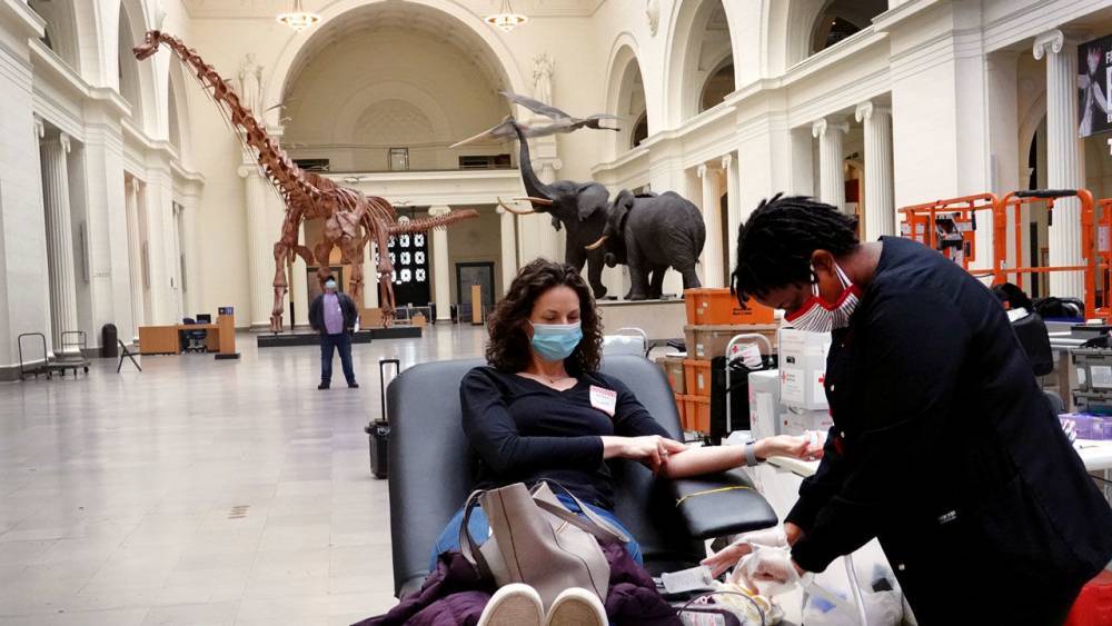 Shuttered natural history museums fight for survival amid COVID-19 ‘heartbreak’ - sciencemag.org - Usa - city New York