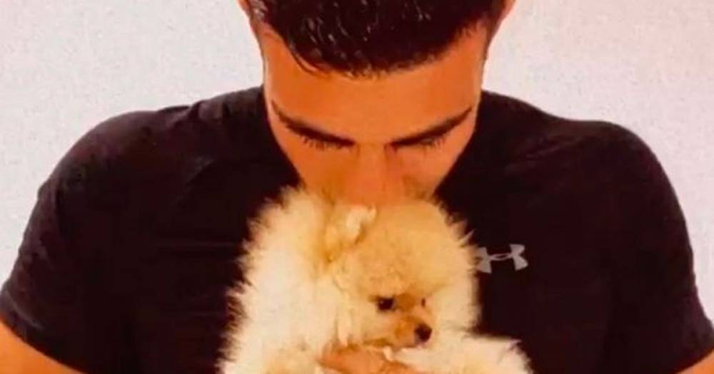 Molly-Mae Hague - Tommy Fury under fire for buying Molly-Mae Hague's puppy from Russia for her birthday - manchestereveningnews.co.uk - Russia - city Manchester - city Hague