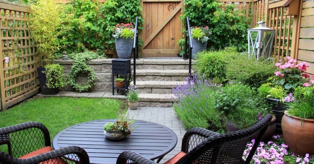 The daily half hour tasks that will have your garden spruced up in a month - manchestereveningnews.co.uk - Britain