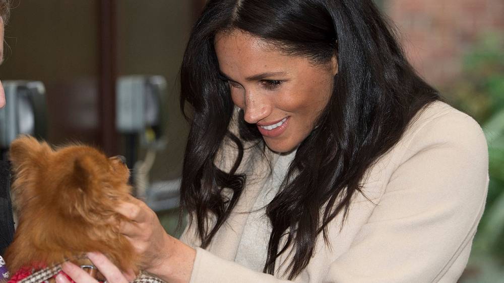 Meghan Markle - Meghan Markle Is Reportedly Helping an Animal Charity Struggling Amid the Coronavirus Pandemic - glamour.com