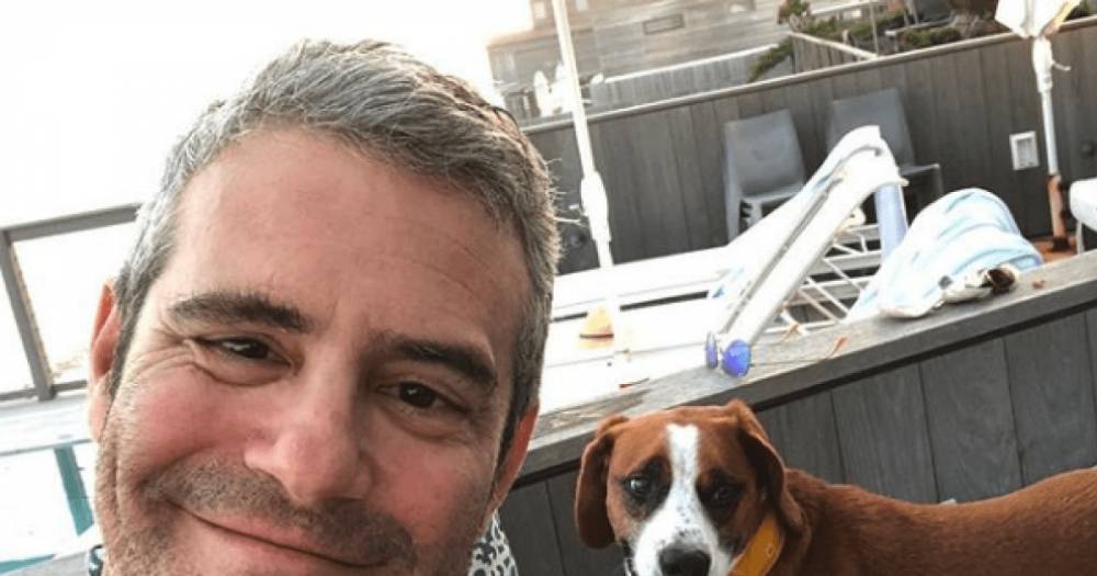 Andy Cohen - Andy Cohen reveals he re-homed his dog after 'incident' - wonderwall.com