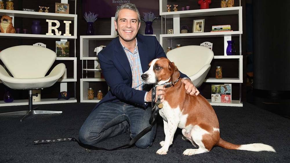 Andy Cohen - Andy Cohen Rehomes His Dog Wacha Due to Aggression - etonline.com - state West Virginia