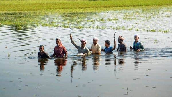 Assam floods: 1 more person dies, 3.7 lakh people affected by deluge in 6 districts - livemint.com - state Assam