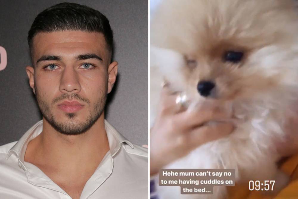 Love Island’s Tommy Fury fuming after dog he bought Molly-Mae poos on his side of the bed - thesun.co.uk