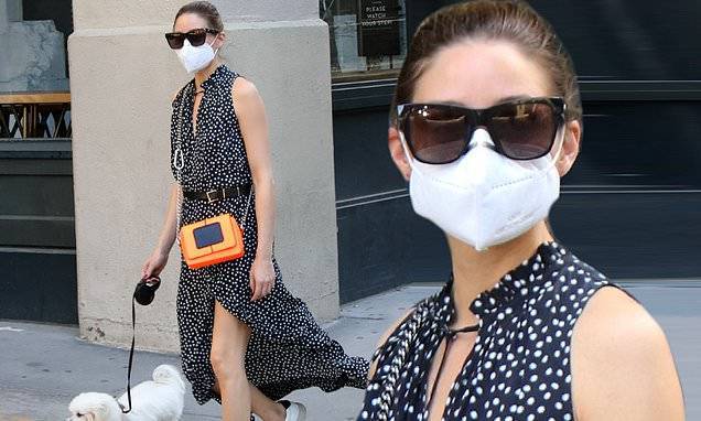 Olivia Palermo - Olivia Palermo makes the streets of NYC her runway as she takes her pooch Mr. Butler for a walk - dailymail.co.uk