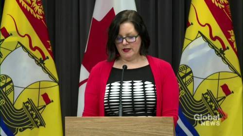 Jennifer Russell - Coronavirus outbreak: N.B. to only test individuals with at least 2 symptoms of COVID-19 starting June 1 - globalnews.ca
