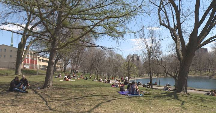 Coronavirus: Is it risky to hang out with friends in a park in Montreal? - globalnews.ca