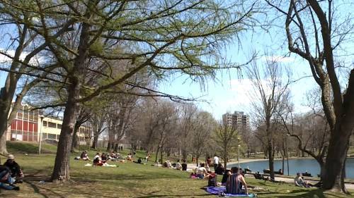 Dan Spector - Coronavirus outbreak: Is it risky to hang out with friends in a park? - globalnews.ca