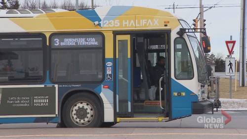 Bus driver anxiety at an all-time high during COVID-19, says union president - globalnews.ca