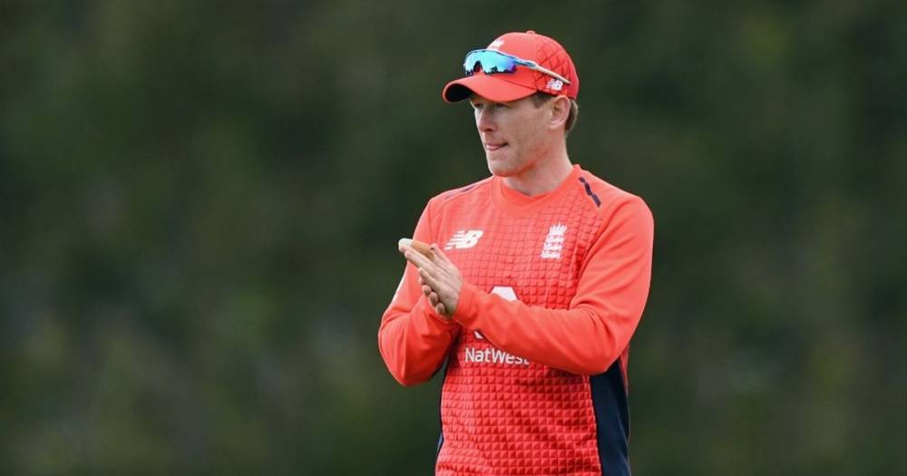 Eoin Morgan rules out Alex Hales making an immediate return to international cricket - mirror.co.uk - India - Australia