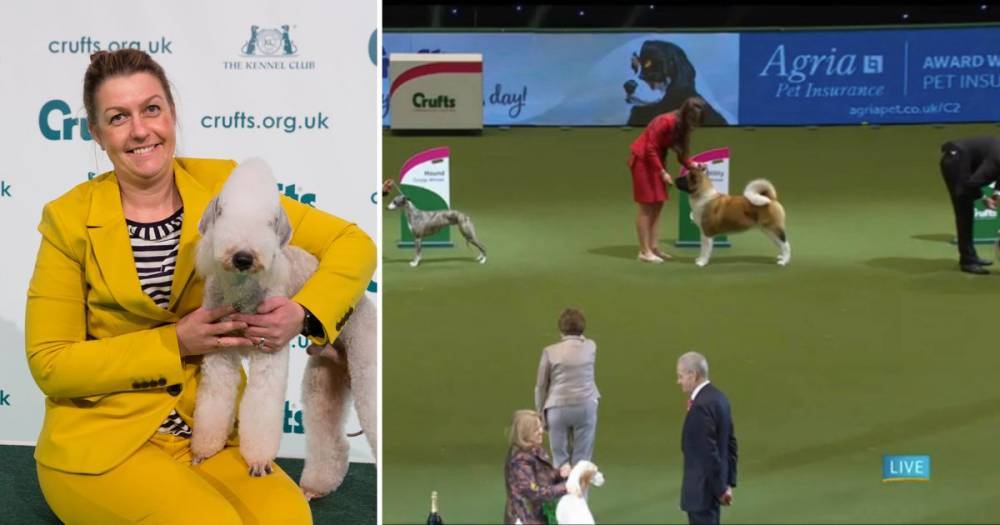 Kilmarnock puppy takes top dog breed prize at Crufts - dailyrecord.co.uk - city Birmingham
