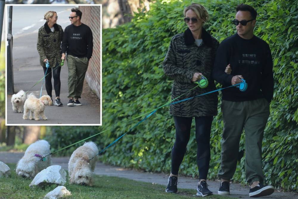 Ant McPartlin and girlfriend Ann-Marie Corbett look loved-up as they walk dogs after his £31m divorce is finalised - thesun.co.uk
